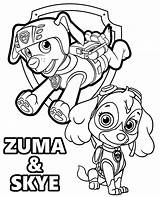 Zuma Skye Coloring Patrol Paw Printable Pups sketch template