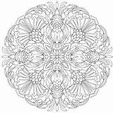 Rosemaling Mandala sketch template