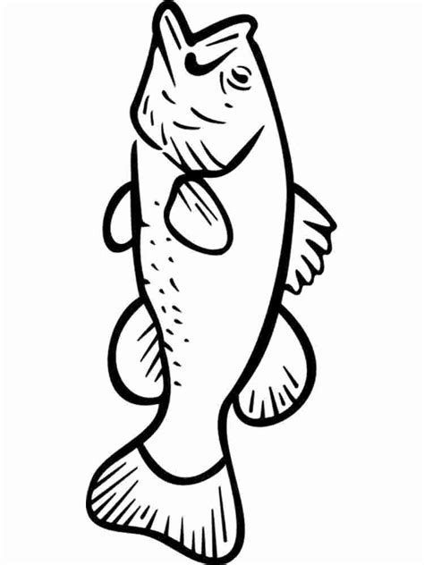 printable bass fish pictures  printable templates