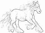 Paarden Lineart Galloping Dieren Paard Tinker Animaatjes Equine Pferde Coloriages Colouring Uitprinten Manege sketch template