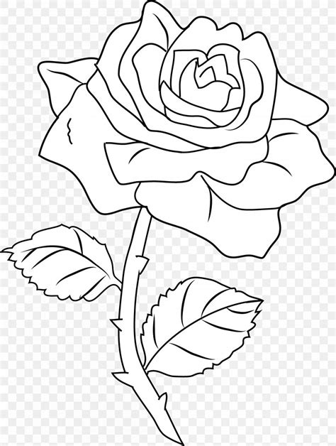 art drawing rose coloring book clip art png xpx