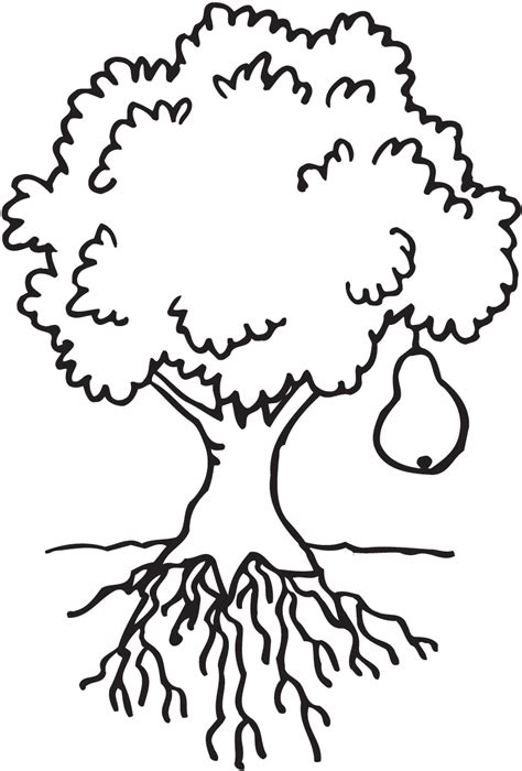 clipart coloring tree   cliparts  images  clipground