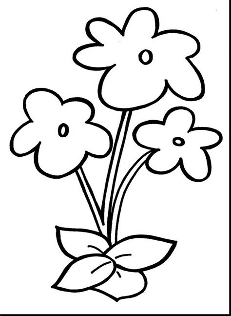 printable flower coloring pages  png color pages collection