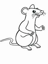 Coloring Larger Mice Rats Fink Critter Unclebills Sketch sketch template