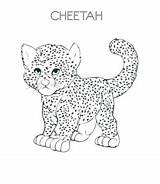Cheetah Playinglearning sketch template