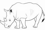 Rhino Coloring Drawing Rhinoceros Pages Animal Animals Wild Kids Cartoon Printable Drawings Colouring Draw Color Rhinos Print Line Sketch Forest sketch template