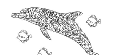 coloring dolphin whale shark images  pinterest hand