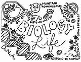 Biology Coloring Kid Pages Big Preview sketch template
