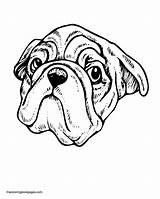 Coloring Dog Pages Realistic Faces Pug Colouring Drawing Face Dogs Pugs Book Getdrawings Library Popular Clipart Coloringhome Codes Insertion sketch template