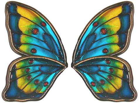 butterfly wings images pictures  animals