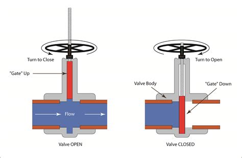 manual valves gate  butterfly valves ctg clean