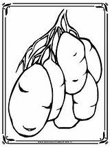 Mewarnai Kentang Diwarna Daun Polong Kacang Sayur Rebanas sketch template