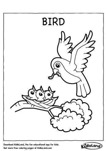 bird coloring page  printables   kids kidloland