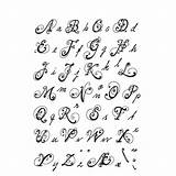 Alphabet Letters Buchstaben Ausdrucken Zum Schrift Schöne Kostenlos Malvorlagen Script Tattoo Kalligraphie Als Klasse Für Stamps Clear Fonts Ideen Von sketch template