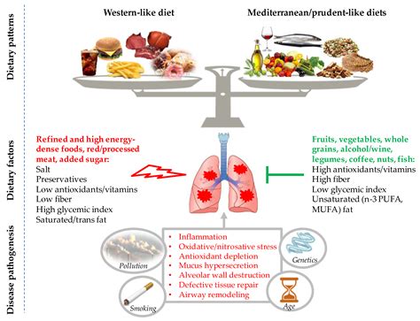 Nutrients Free Full Text Role Of Diet In Chronic Obstructive