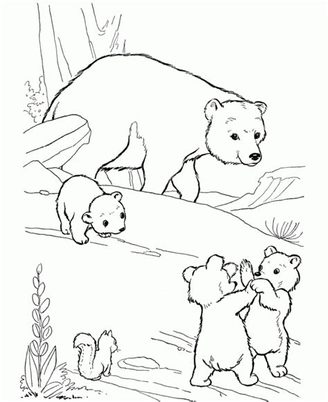 polar bear coloring pages  kids yyl