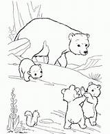 Coloring Bear Polar Pages Kids Print sketch template