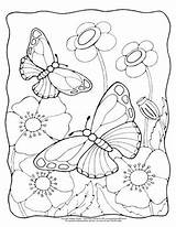 Butterfly Coloring Pages Realistic Butterflies Flower Printable Cute Flowers Easy Colouring Monarch Spring Kids Scene Easypeasyandfun Insect Drawing Print Book sketch template