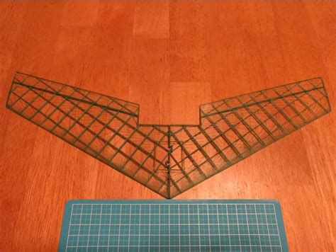 project  flight    printed  micro flying wing alldp