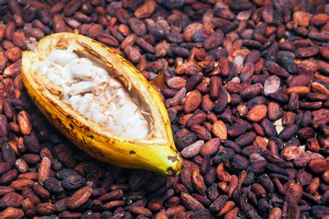 kakao innehaller superaemnen iformse