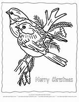 Birds Printable Weihnachten Malvorlagen Coloringhome Vogel sketch template