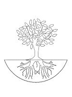 tree  roots coloring page  images tree coloring page