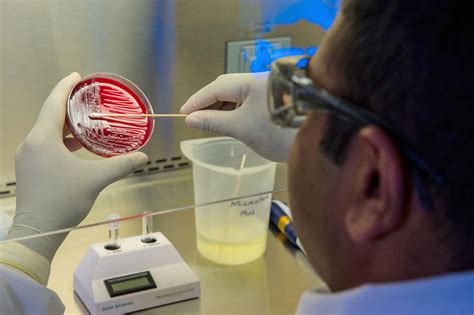 microbiology testing biobridge global