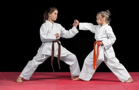 Best Karate Classes In Dubai Uae Lions Karate In Dubai