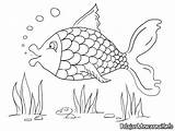 Ikan Mewarnai Laut Hewan Sketsa Binatang Kolam Peliharaan Hias Kolase Colouring Nemo Sheet Marimewarnai Koleksi Besar Inspirasi Bawah Terbaru Zoo sketch template