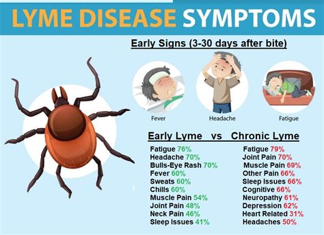 Lyme Disease Symptoms Port Hardy