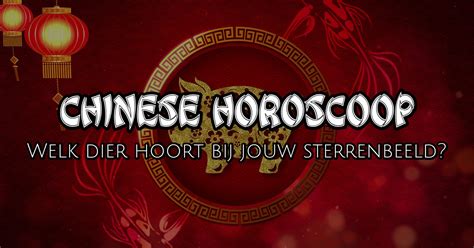 chinese horoscoop horoscoop  orakels