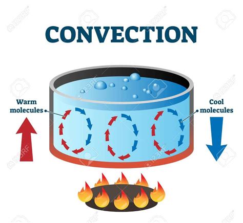 define convection science heat  meritnationcom