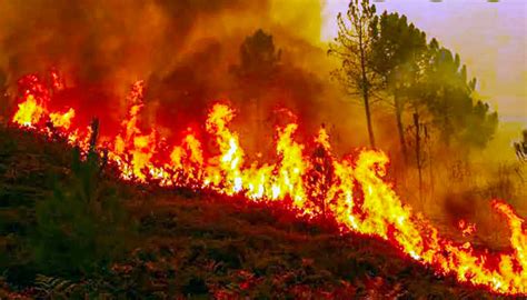 forest fires reported  uttarakhand   hours  wire science
