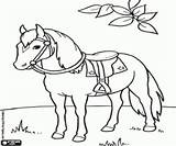 Cavalo Sela Caballo Silla Montar Pferd Sattel Konia Pronto Kolorowanki Siodła Caballos Saddle Paard Koń Cavalos Cavallo Zadel Gotowy Konie sketch template