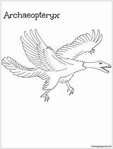 Archaeopteryx Pages Dinosaurus Coloring Color sketch template