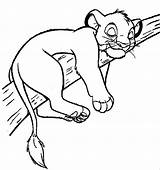 Lion King Coloring Pages Posted sketch template