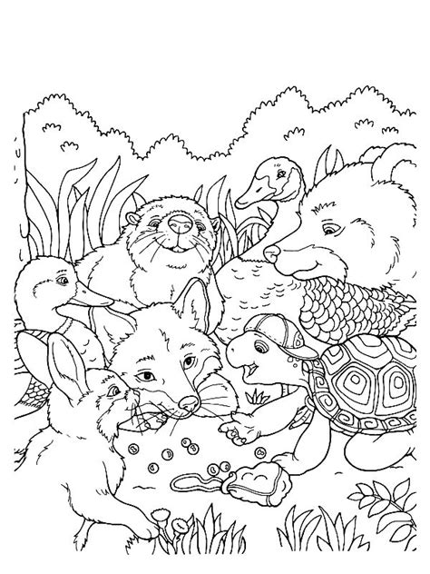 printable wildlife images  pinterest coloring books print