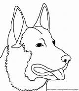 Coloring German Pages Shepherd Dog Breed sketch template