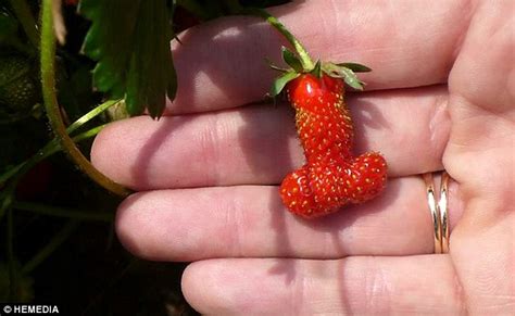 That S A Little Fruity Woman Finds Strawberry Shaped Like A Penis In
