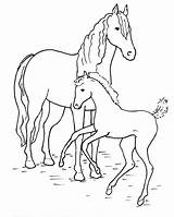 Pferde Pferd Malvorlagen Paarden Kleurplaten Kleurplaat Tiere Kolorowanka Paard Coloriages Malvorlage Yeguas Malen Hobbit Konie Equine Animierte Animaatjes Ausmalbildkostenlos Kindergeburtstag sketch template