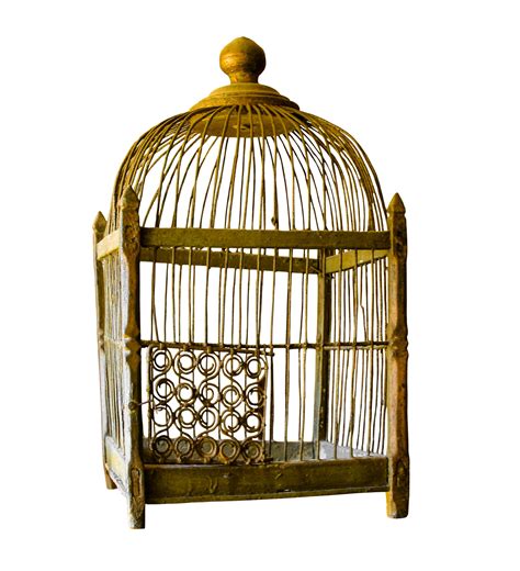 gilded cage virily