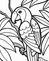 Dieren Papegaai Kinderkleurplaten sketch template