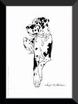 Great Dane Harlequin Dog Danes sketch template