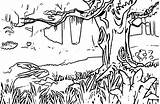 Coloring Forest Pages Landscape Popular sketch template