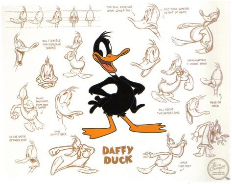 daffy model sheet looney tunes photo  fanpop