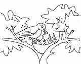 Coloring Baby Birds Pages Bird Nest Kids Feeding Mommy Outline Printable Drawing Lives Cartoon Funny Tree Fun Sheet Colouring Animals sketch template