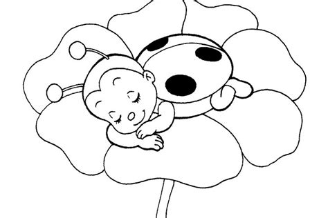 cute bug coloring pages  getdrawings