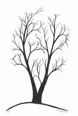 Tree Drawing Line Branches Drawings Simple Two Template Silhouette Bare Trees Trunk Vectors Vector Clipart Clipartbest Sketch Trunks Getdrawings Trunked sketch template