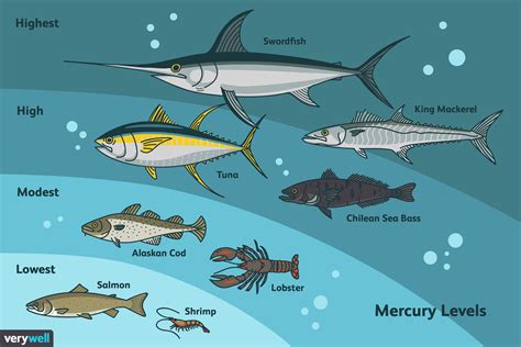 types  fish ranked  mercury content