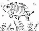 Fish Coloring School Pages Template Shape Getdrawings sketch template